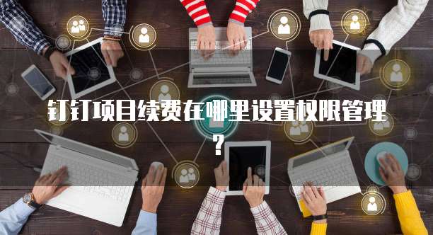 钉钉项目续费在哪里设置权限管理？