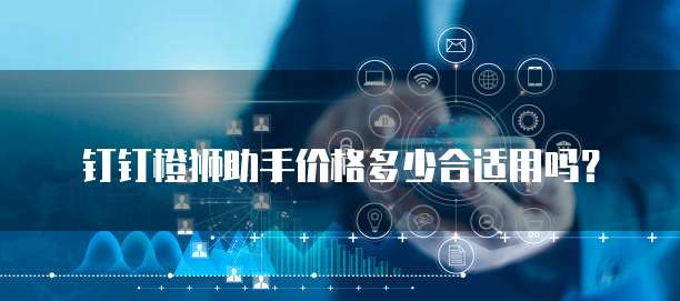 钉钉橙狮助手价格多少合适用吗?