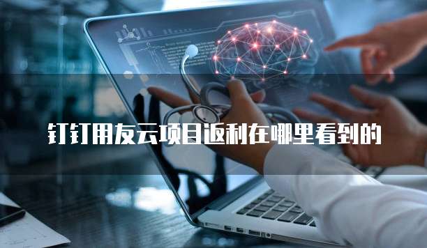 钉钉用友云项目返利在哪里看到的