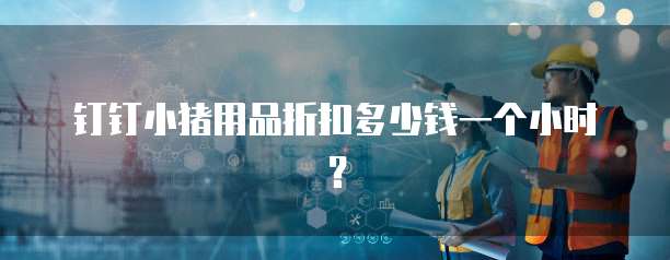 钉钉小猪用品折扣多少钱一个小时?
