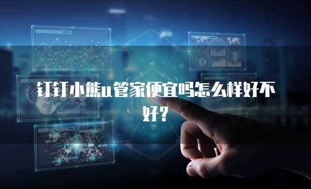 钉钉小熊u管家便宜吗怎么样好不好?