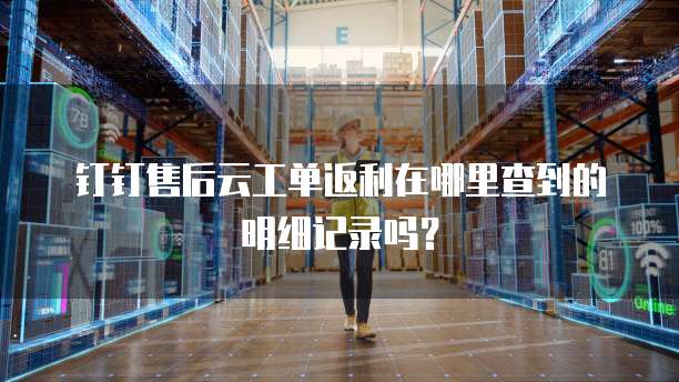 钉钉售后云工单返利在哪里查到的明细记录吗?