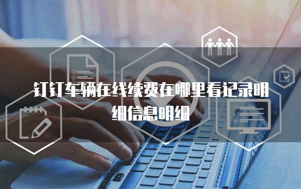 钉钉车辆在线续费在哪里看记录明细信息明细