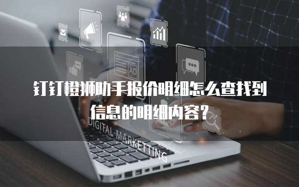 钉钉橙狮助手报价明细怎么查找到信息的明细内容?