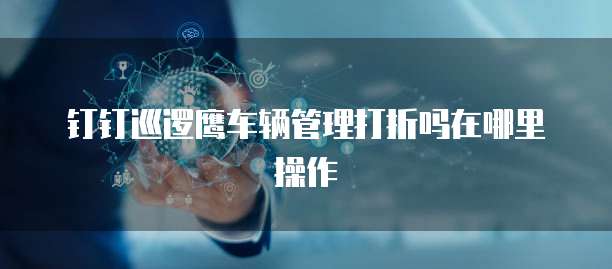 钉钉巡逻鹰车辆管理打折吗在哪里操作