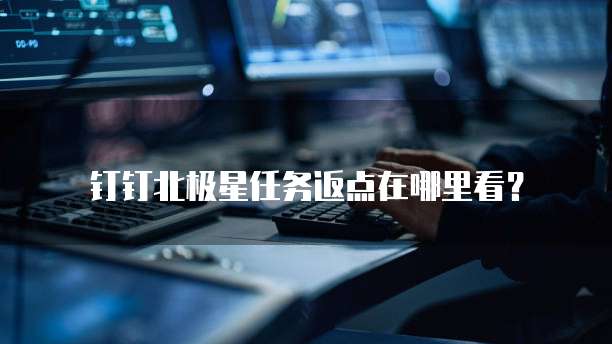 钉钉北极星任务返点在哪里看?