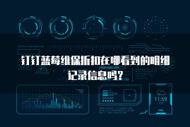 钉钉蓝莓维保折扣在哪看到的明细记录信息吗?