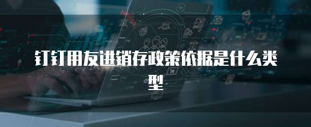 钉钉用友进销存政策依据是什么类型