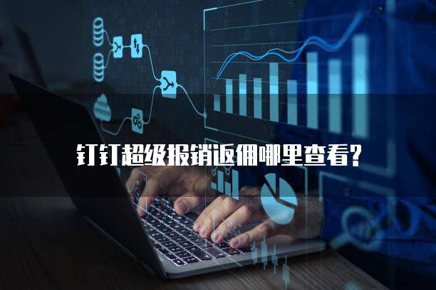 钉钉超级报销返佣哪里查看?