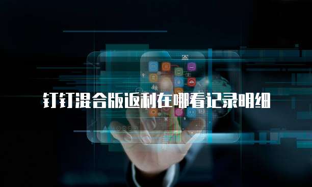 钉钉混合版返利在哪看记录明细