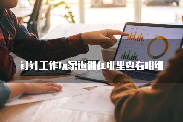 钉钉工作玩家返佣在哪里查看明细