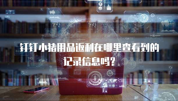 钉钉小猪用品返利在哪里查看到的记录信息吗?