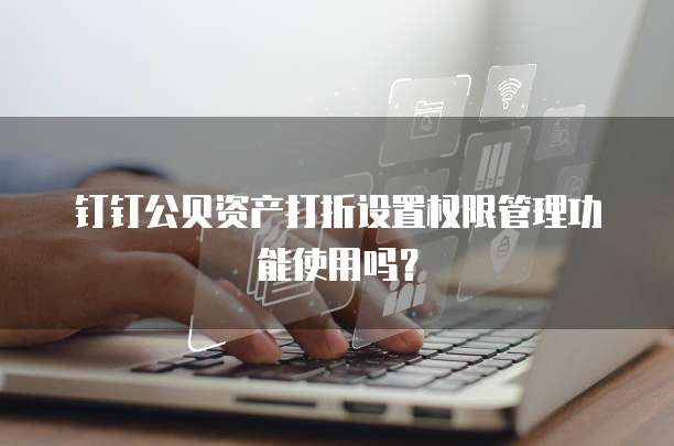 钉钉公贝资产打折设置权限管理功能使用吗?