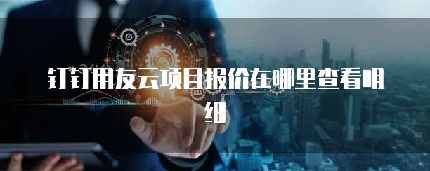 钉钉用友云项目报价在哪里查看明细