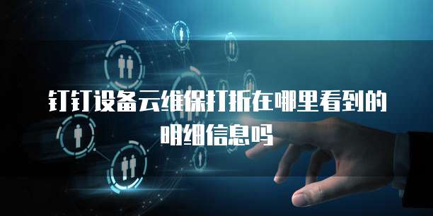 钉钉设备云维保打折在哪里看到的明细信息吗