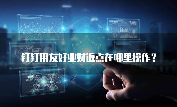 钉钉用友好业财返点在哪里操作？