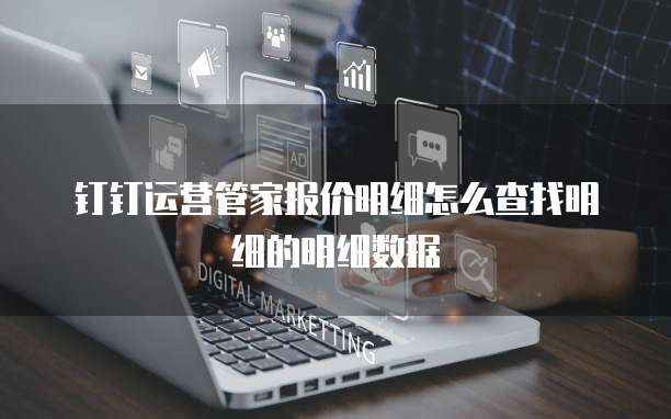 钉钉运营管家报价明细怎么查找明细的明细数据