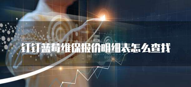钉钉蓝莓维保报价明细表怎么查找