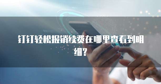 钉钉轻松报销续费在哪里查看到明细?