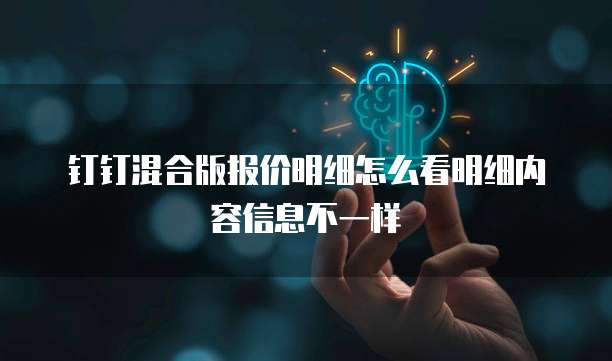 钉钉混合版报价明细怎么看明细内容信息不一样