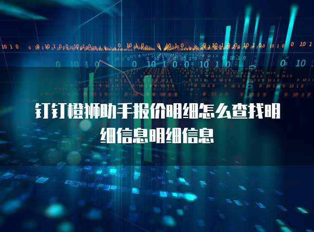 钉钉橙狮助手报价明细怎么查找明细信息明细信息