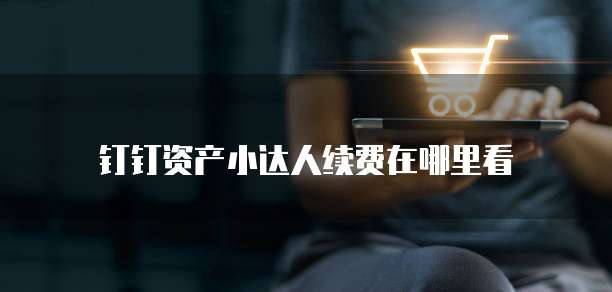 钉钉资产小达人续费在哪里看
