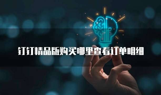 钉钉精品版购买哪里查看订单明细