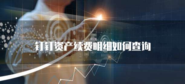 钉钉资产续费明细如何查询