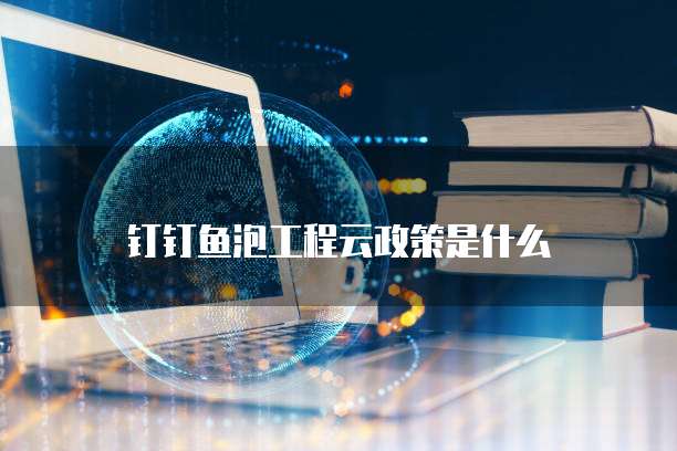 钉钉鱼泡工程云政策是什么