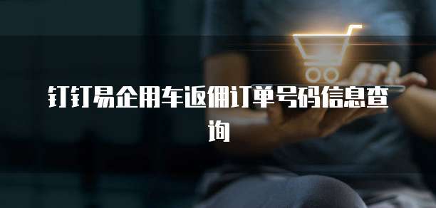 钉钉易企用车返佣订单号码信息查询