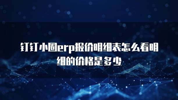 钉钉小圈erp报价明细表怎么看明细的价格是多少
