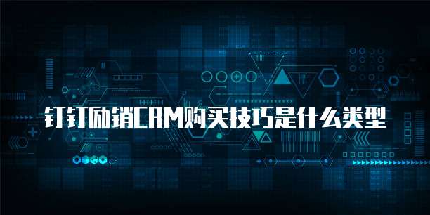 钉钉励销CRM购买技巧是什么类型