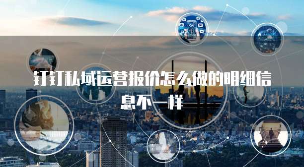 钉钉私域运营报价怎么做的明细信息不一样
