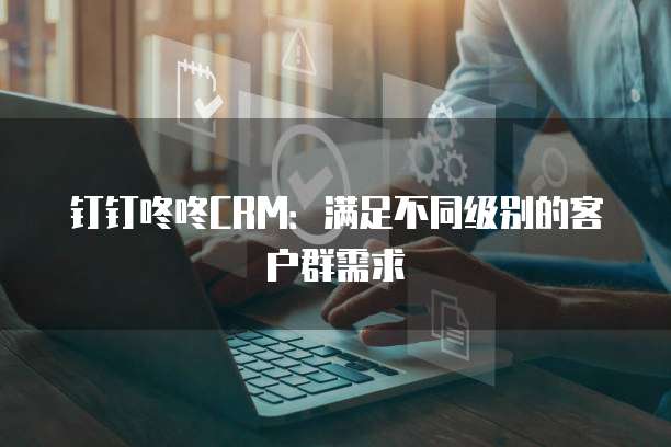 钉钉咚咚CRM:满足不同级别的客户群需求
