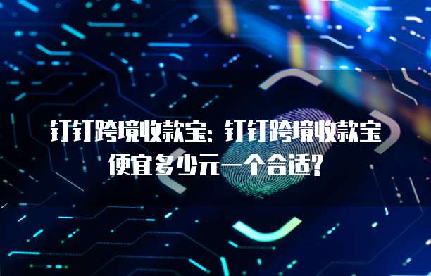 钉钉跨境收款宝: 钉钉跨境收款宝便宜多少元一个合适?