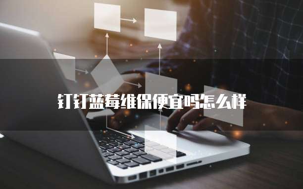 钉钉蓝莓维保便宜吗怎么样
