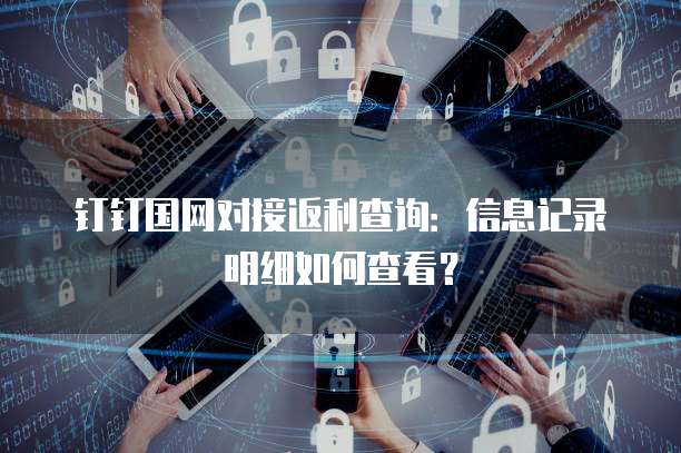 钉钉国网对接返利查询:信息记录明细如何查看?