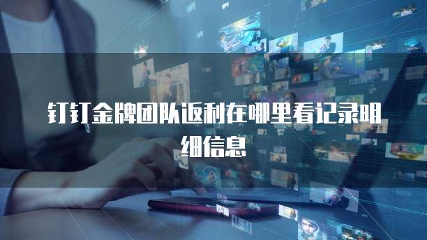 钉钉金牌团队返利在哪里看记录明细信息