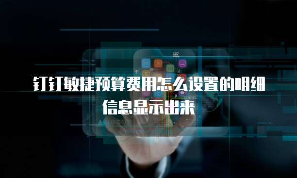 钉钉敏捷预算费用怎么设置的明细信息显示出来