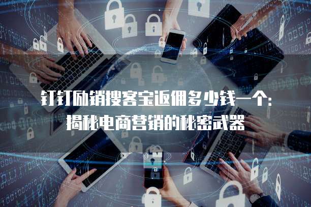 钉钉励销搜客宝返佣多少钱一个:揭秘电商营销的秘密武器