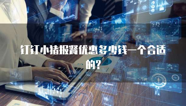 钉钉小猪报餐优惠多少钱一个合适的?