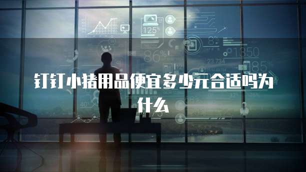 钉钉小猪用品便宜多少元合适吗为什么