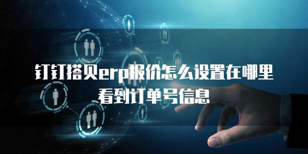 钉钉搭贝erp报价怎么设置在哪里看到订单号信息