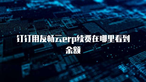 钉钉用友畅云erp续费在哪里看到余额