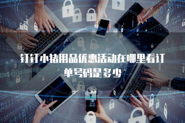 钉钉小猪用品优惠活动在哪里看订单号码是多少