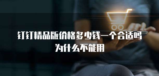 钉钉精品版价格多少钱一个合适吗为什么不能用