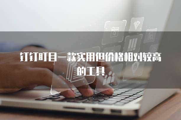钉钉盯目一款实用但价格相对较高的工具