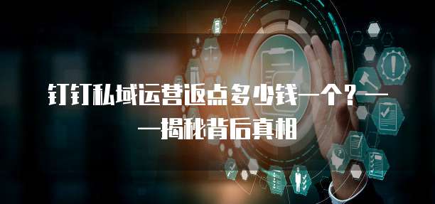 钉钉私域运营返点多少钱一个?——揭秘背后真相