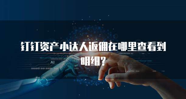 钉钉资产小达人返佣在哪里查看到明细?