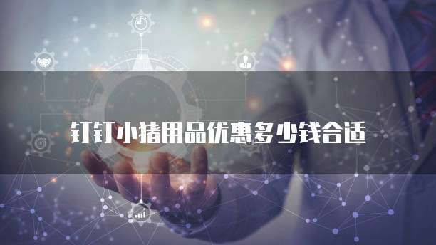 钉钉小猪用品优惠多少钱合适